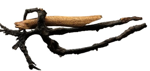 "Clytemnestra" Root Art, by Stephan MorrowWoodDimension: 2'H X 3"LPrice: $350