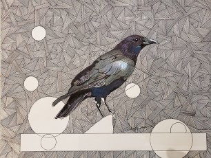 "Caledonian-Crow-Perched" by Ian David KnifePink Pen on acid free PaperDimension: 11"x 14"Price: $1,200