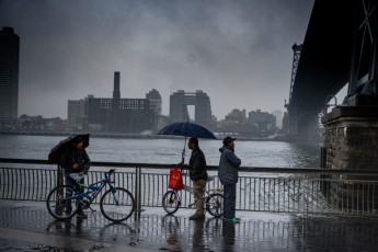 "East River Park" Men visit in a park scheduled for destruction by Pat ArnowPhotosPrice: $120