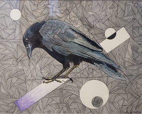 "Inquisitive Crow" by Ian Knife Pink Pen on acid free PaperDimension: 11"x 14"Price: $1,200